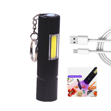 Portable Rechargeable 365nm Blacklight UV Torch USB Flashlight Keychain