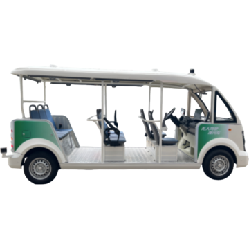 Wulden Guobin Intelligent Rijdende sightseeing -auto