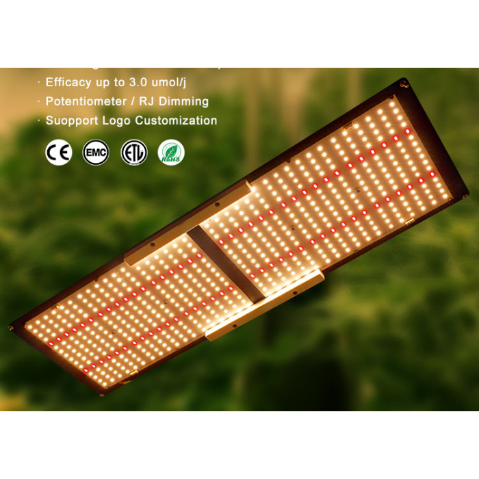 Striscia a LED a serra da 240 W Luce coltivazione