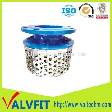 Hot sale Ductile iron stainless steel basket strainer