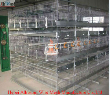 Chicken Poultry Equipment for Pad Feeding  