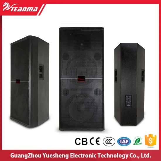 Professional stage speaker subwoofer dual 18