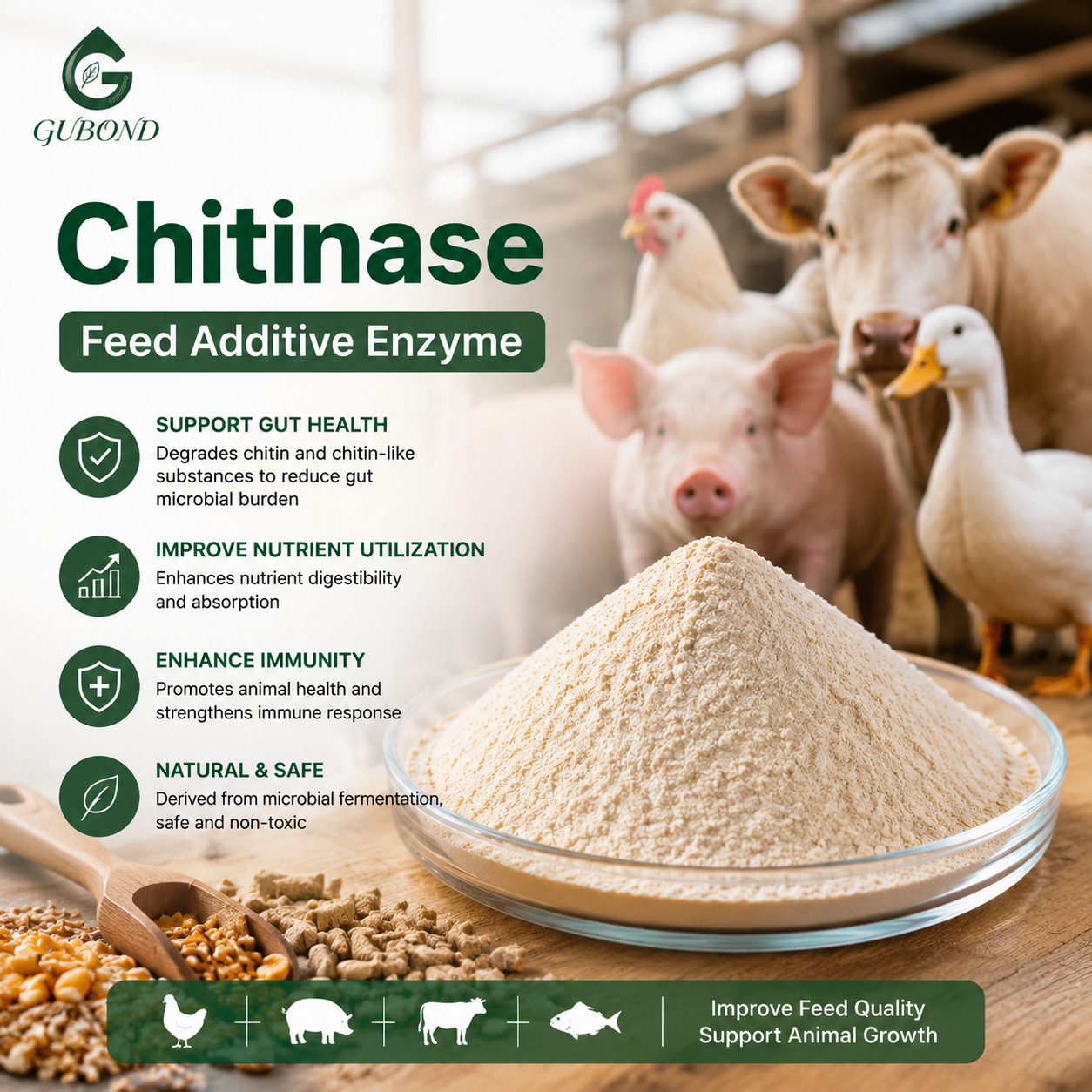 Chitinase (3)