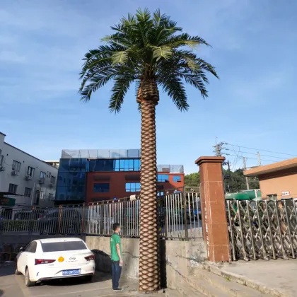 Wholesale FiberGlass Artificial Areca Palm Trees & Coconut Plants