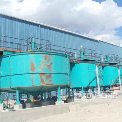 Lead Zinc Ore Beneficiation Plant