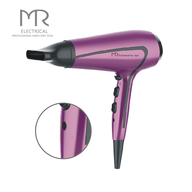 Professional Salon Use Super Sonic Hair Dryer