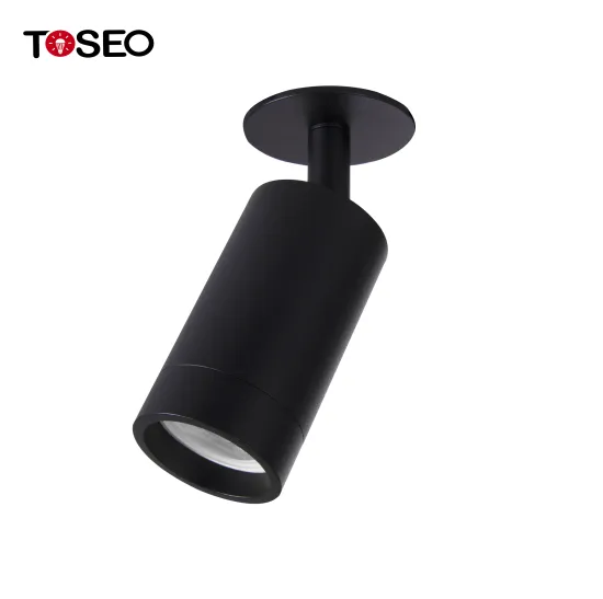 Adjustable Dimmable Commercial Down Lights in Black and White: Aluminum Recessed and Surface Mounted Indoor Lighting Solutions