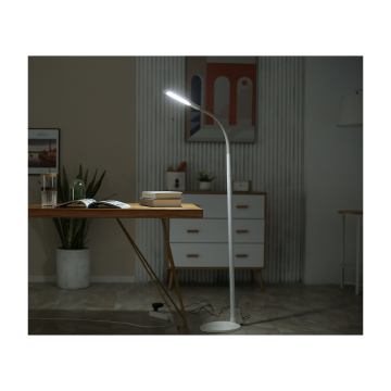Remote Control LED Gooseneck Floor Lamp with Touch Function