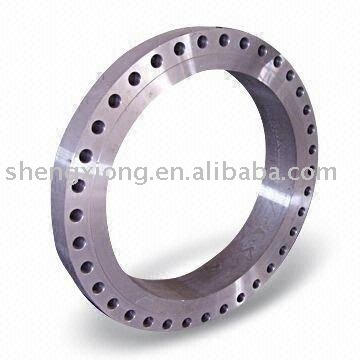 Stainless Steel Flange