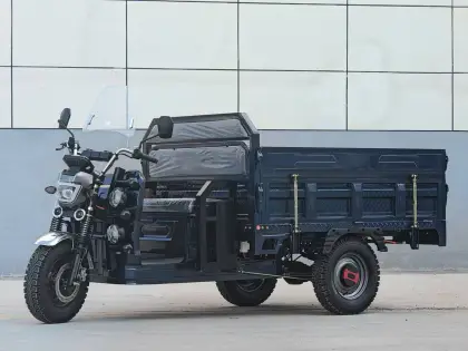 High-Efficiency Five-Light Delivery Electric Tricycle