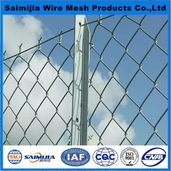 2015 most popular garden design wire mesh fence