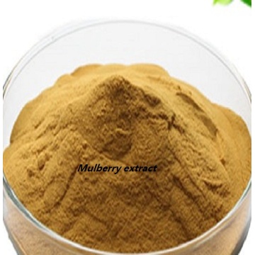 Pharmaceutical API Mulberry extract oral solution