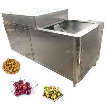 Stainless Steel High-Efficiency Oval Fruit Electric Cherry Date Pitter Machine