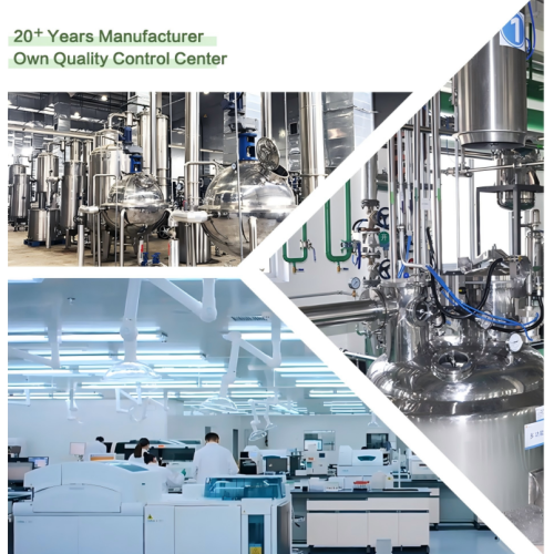 Најбољи квалитетни екстракт Гинсенг