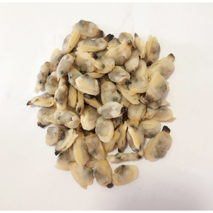 Muschel mit kurzem Nacken