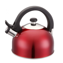 Stainless Steel Whistling Kettle Eco-Friendly