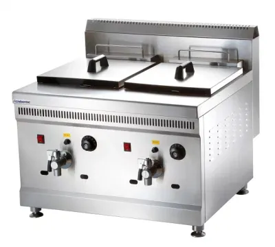 Factory Price Vertical Gas Temperature-Controlled Deep Fryers Gas for Sale