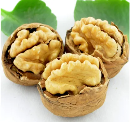 Original walnut new goods