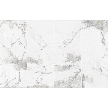 WSW23011 Digitaldruckwand Panel