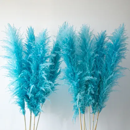 Turquoise Blue Dried Pampas Grass Bouquet - Arco Flores