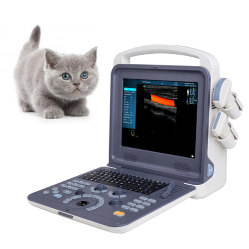 Tragbarer digitaler Veterinär-Ultraschallscanner Farbdoppler