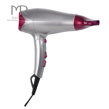 Sèche-cheveux professionnel utiliser le moteur AC 2200W