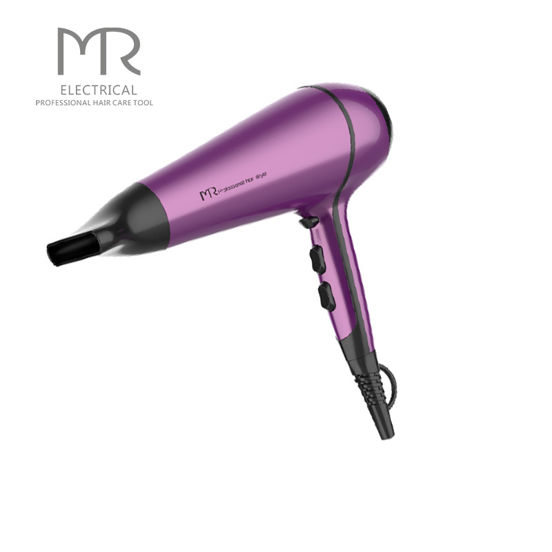 Style Fashion Design AC Motor Professional Hair Dryer