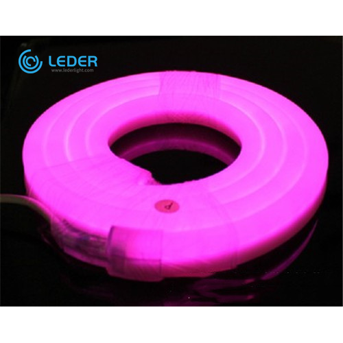 LEDER Morden Dải LED linh hoạt