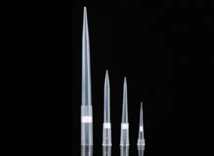 200ul Filter Universal Pipette Tips Racked