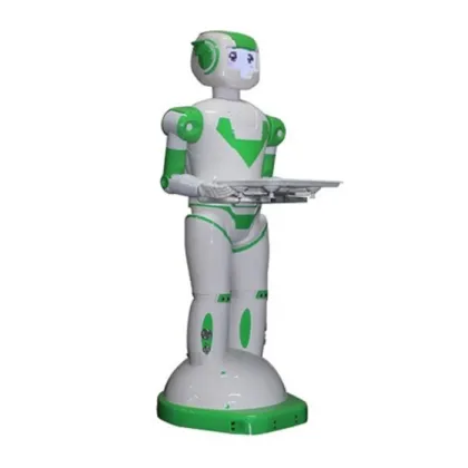 Hot-Selling Mark Waiter Robot Boy