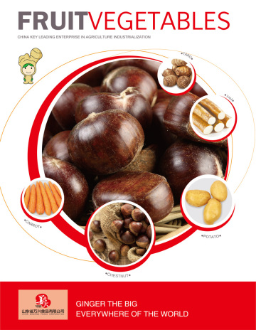 New Season Export Professional Chinese Fresh Chestnut