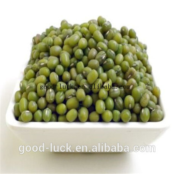 green mung beans(2014 crop)
