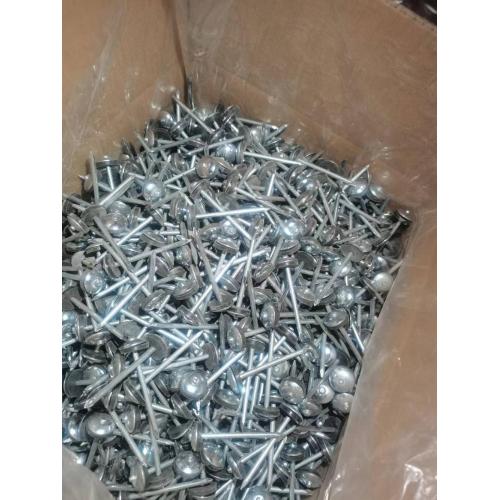 China Zinc Plated Umbrella Roofing Nails Supplier