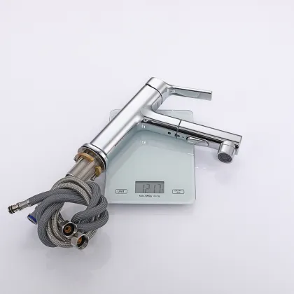 Bathroom Pull Out Faucet