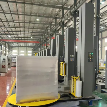Fully Automatic Food Tray Wrap Machine