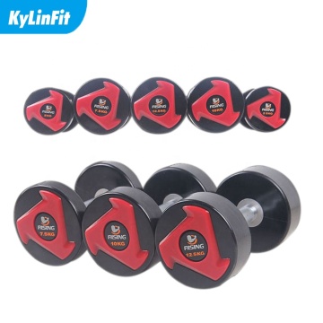 Kylinfit Home Use Customized Free Weights Fitness Dumbbells Gym Equipment