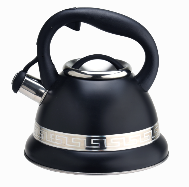 Popular coating stainless steel whistling tea kettle