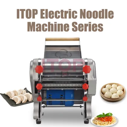 Commercial Electric Pasta Noodle Maker and Mini Noodle Cutting Machine