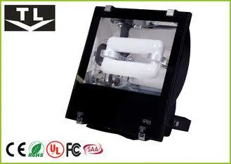 120W Garage Lighting Induction Flood Light Super Long Life