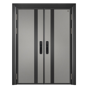 Aluminium Black Frame Steel Grey Front Door