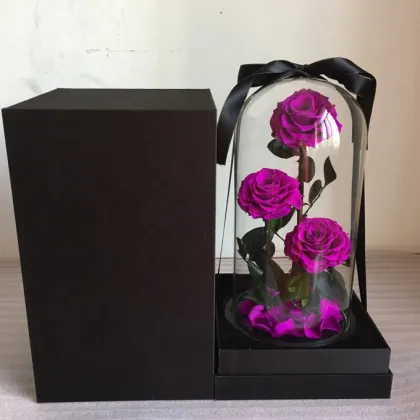 Little Prince Rose in Glass Dome with Black Gift Boxes for Valentine's Day