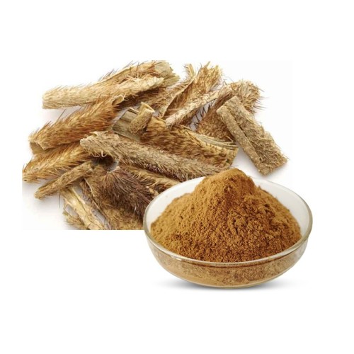 High quality Siberian Ginseng Extract
