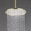 10 mm Golden Round Shower Head