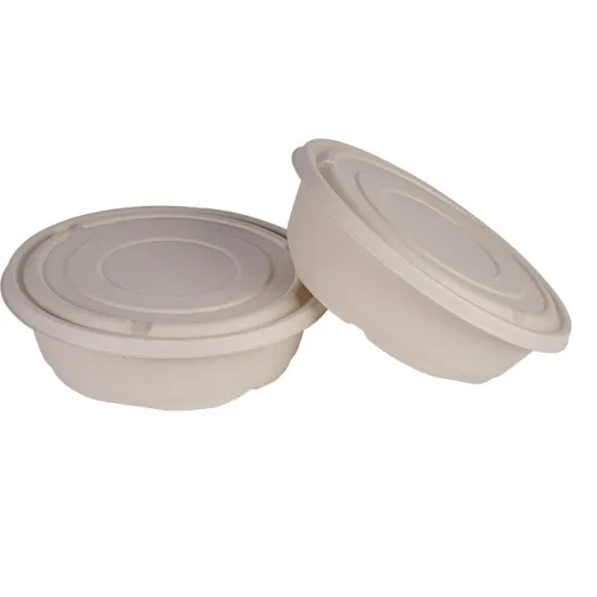 Degradable Sugarcane Bagasse Food Box Container Lunch Box
