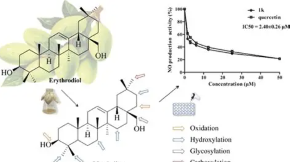 Sweetener Ingredient Supplier