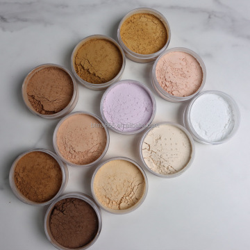 Cosmetici personalizzati di alta qualità a marchio privato: 13 a colori polvere