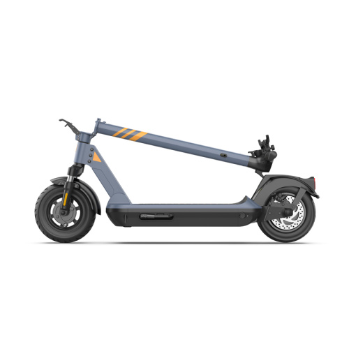 Scooters eléctricos plegables de 36V 350W Motor plegable