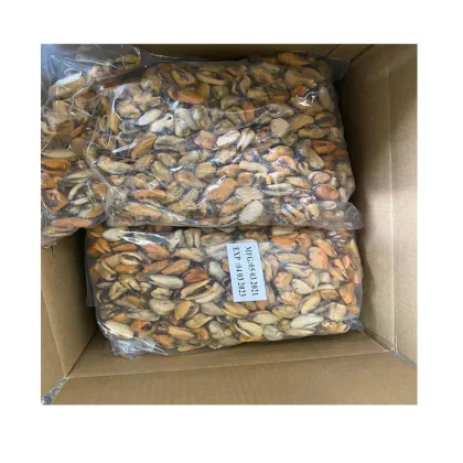 new season blue mussel mussel product detail good quality blue mussel detail
