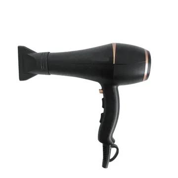 Professional Salon Hair Dryer: 2200W AC Motor, Fast Drying, Infrared & Ionic Technology
