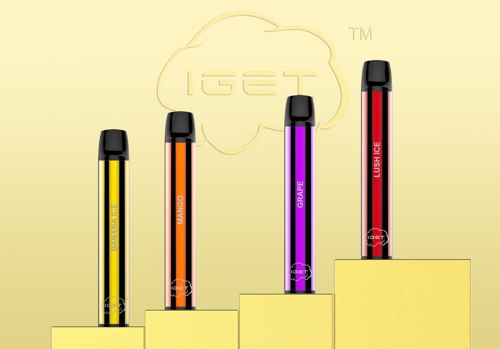 Disposable Vape Pen Iget Shion 600 Puffs